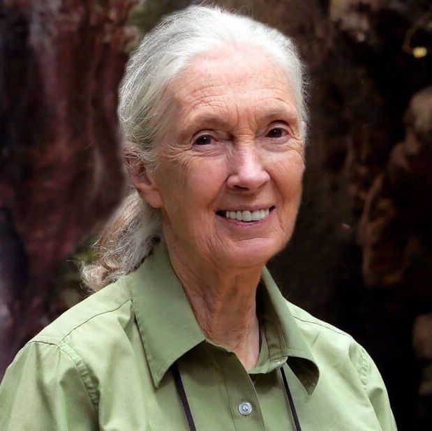 Jane Goodall biography
